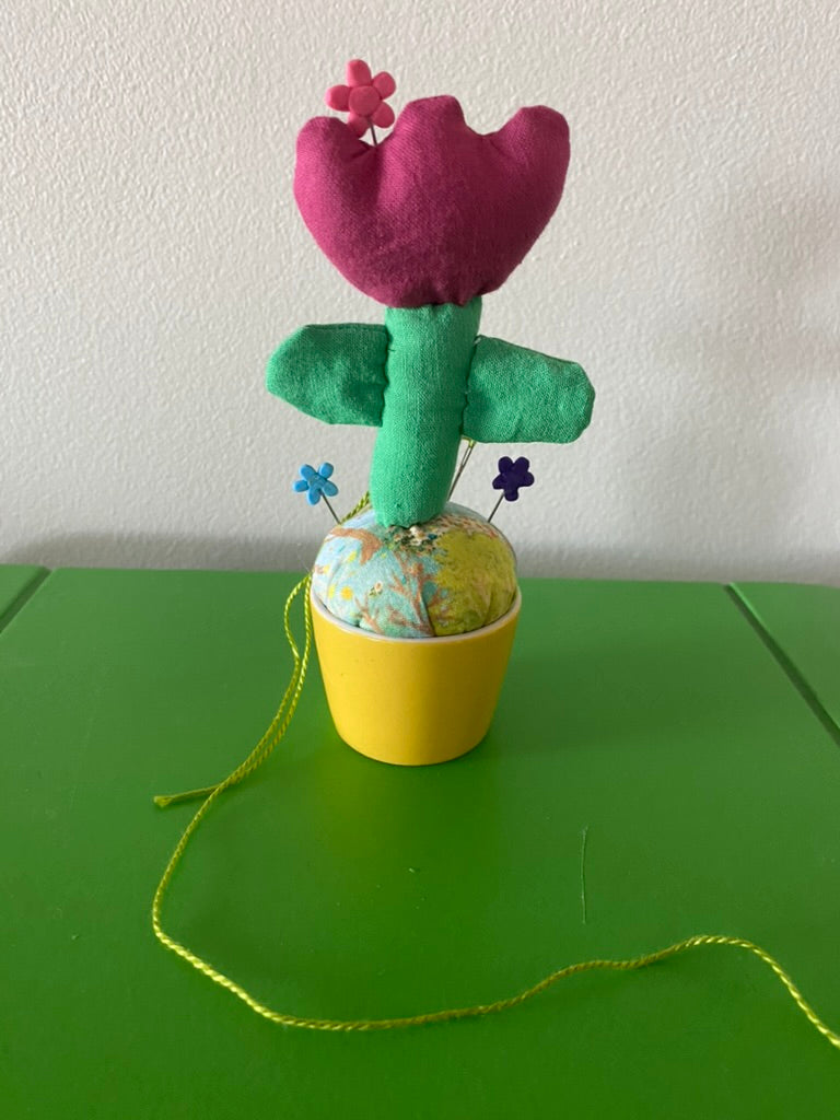 Pincushion Tulip