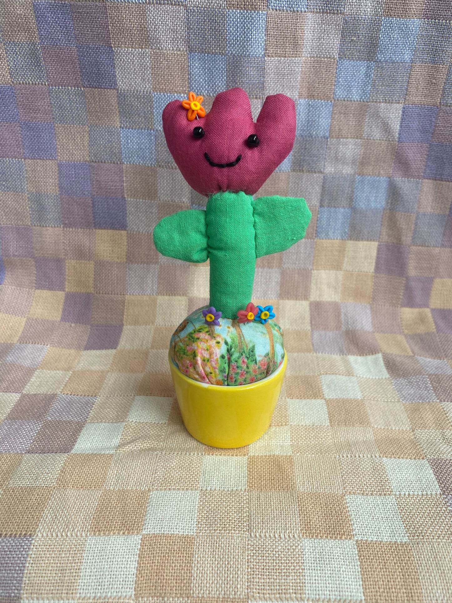 Pincushion Tulip