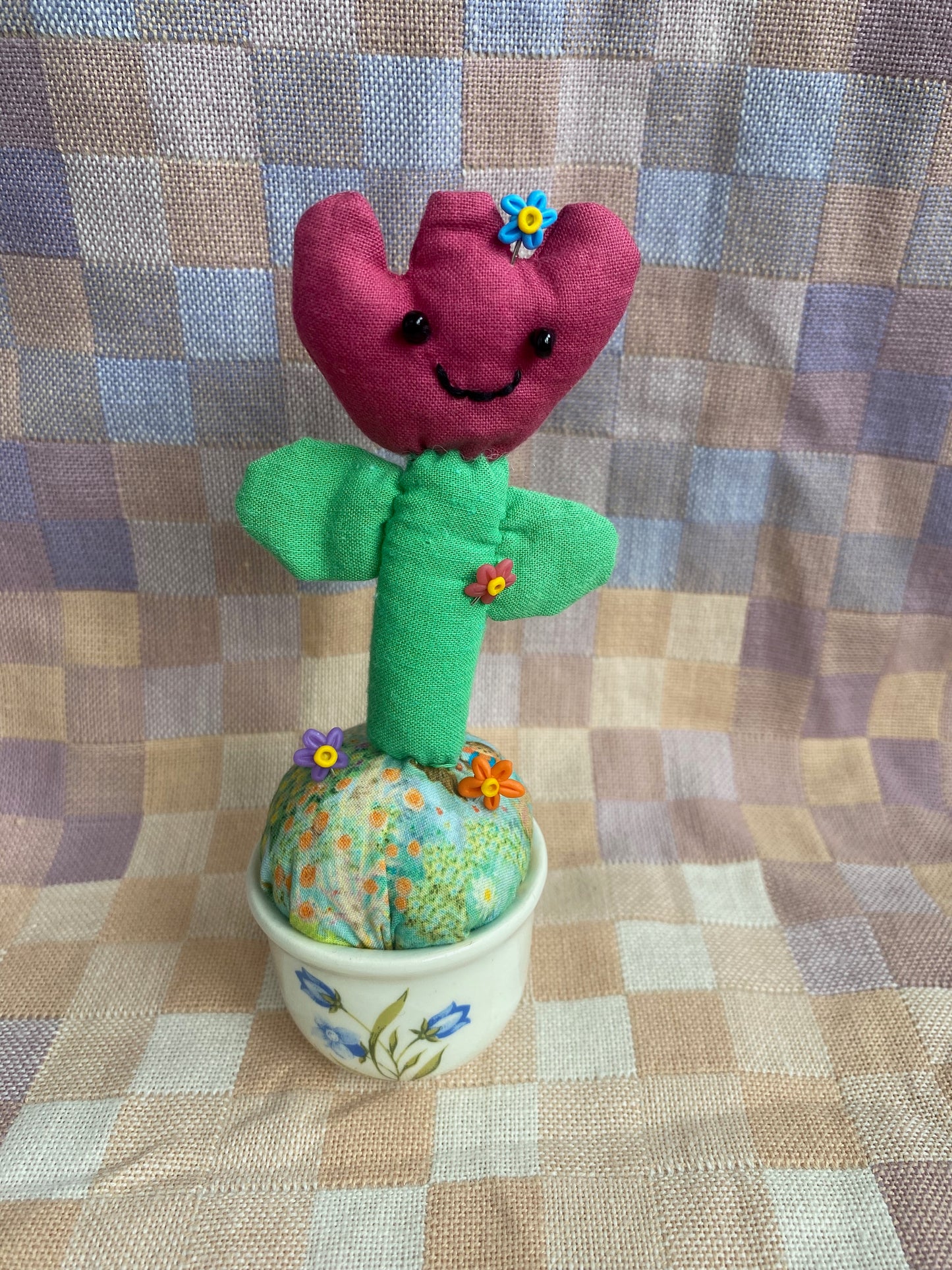 Pincushion Tulip