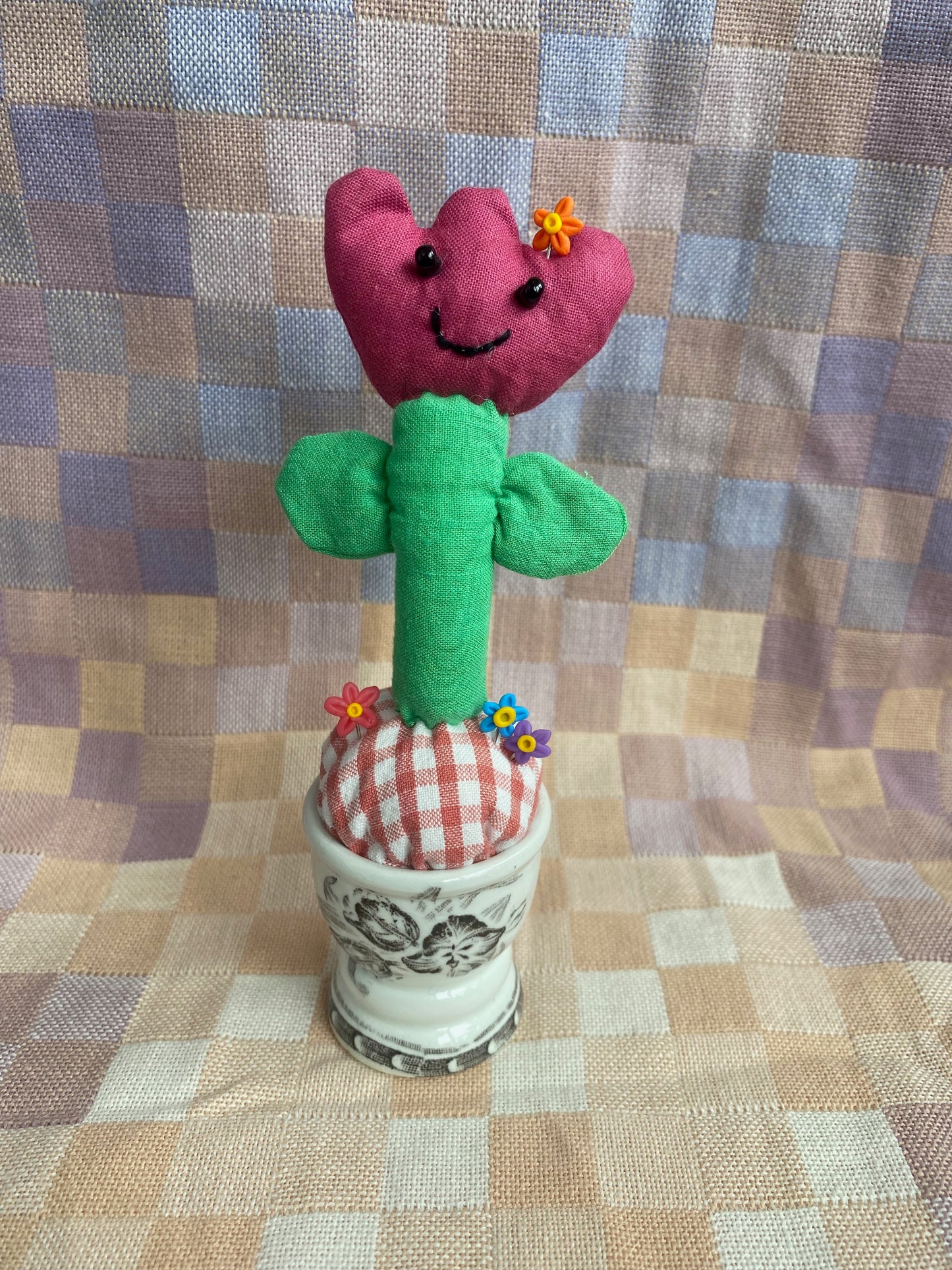 Pincushion Tulip