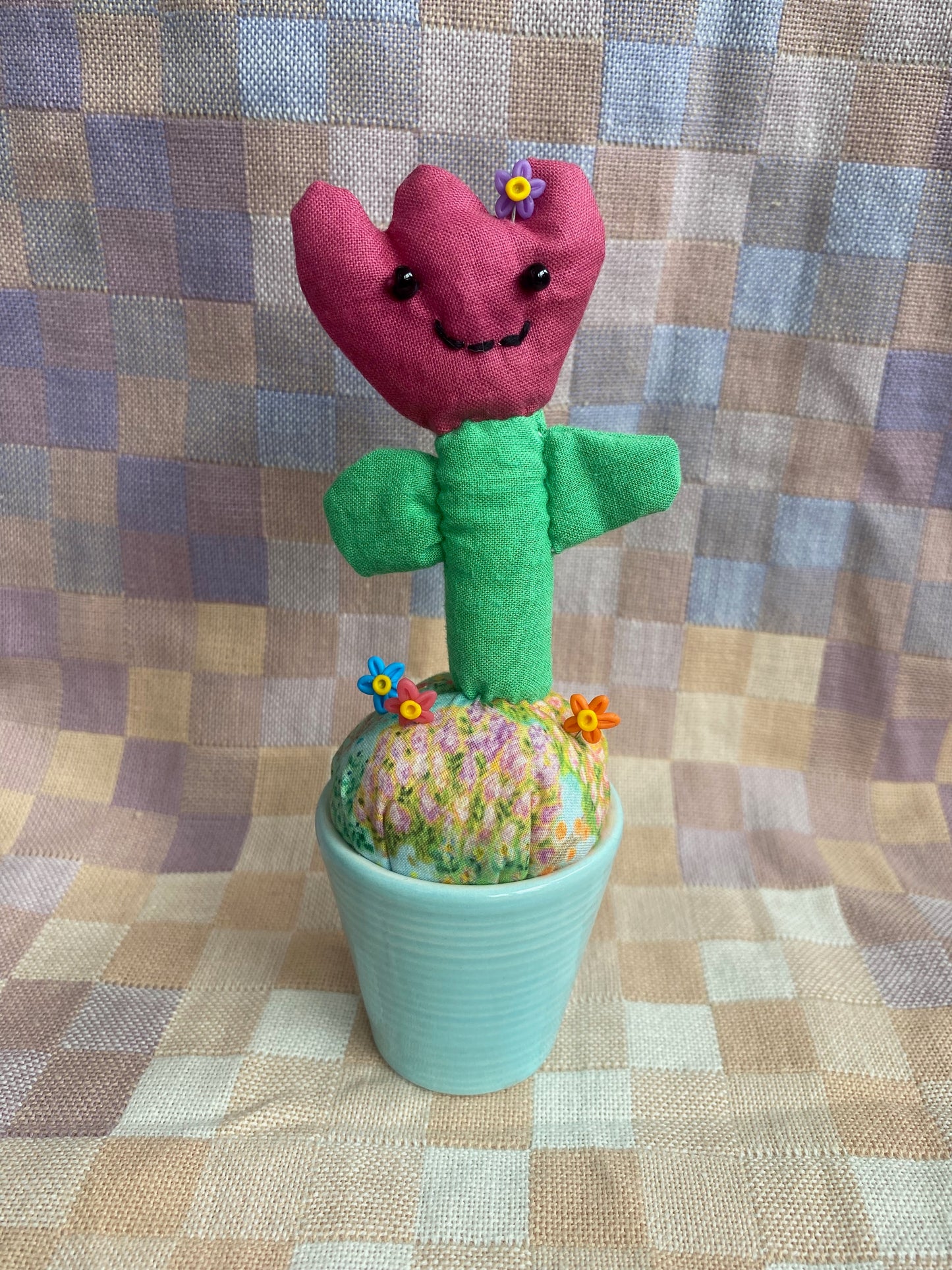 Pincushion Tulip